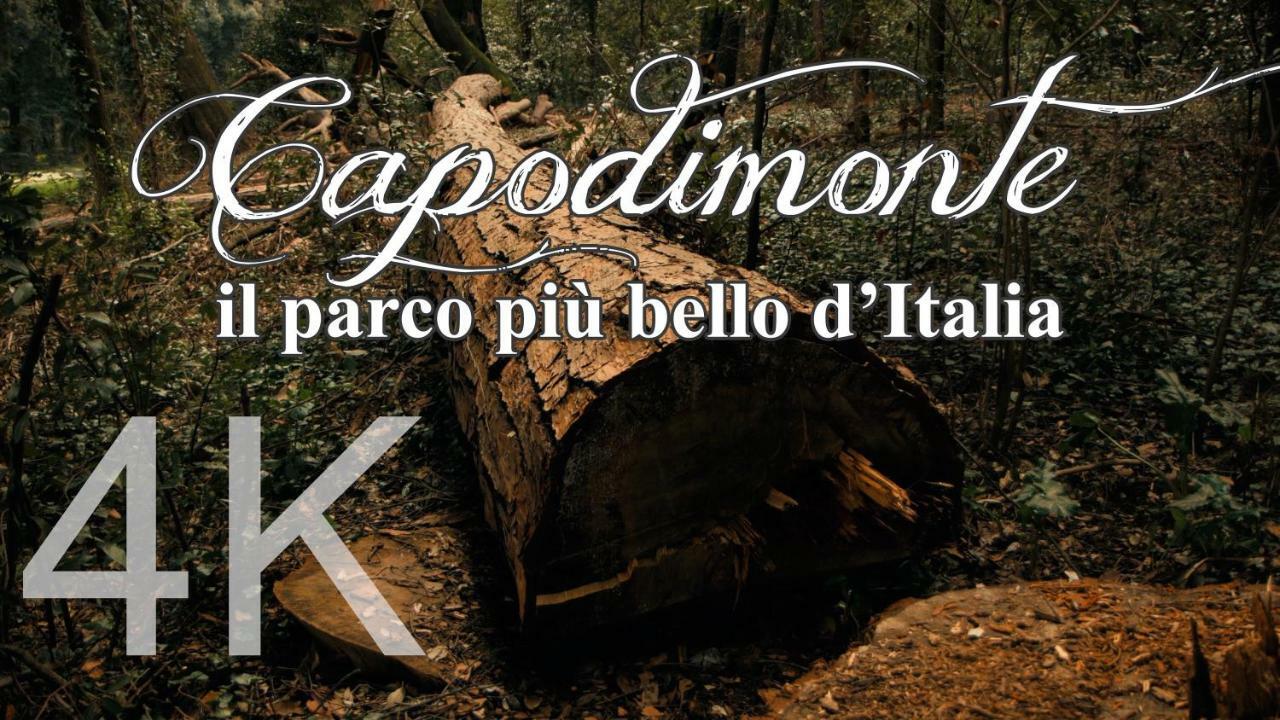 Alla Corte Del Re Dimora Storica Наполи Екстериор снимка
